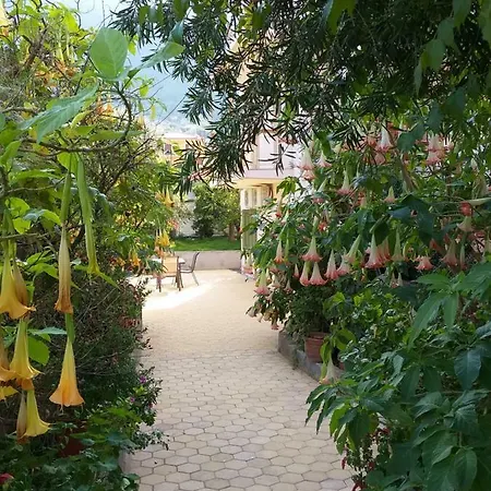 Vanna's * לאונידיון